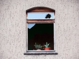 Merkmal Glasbruchversicherung